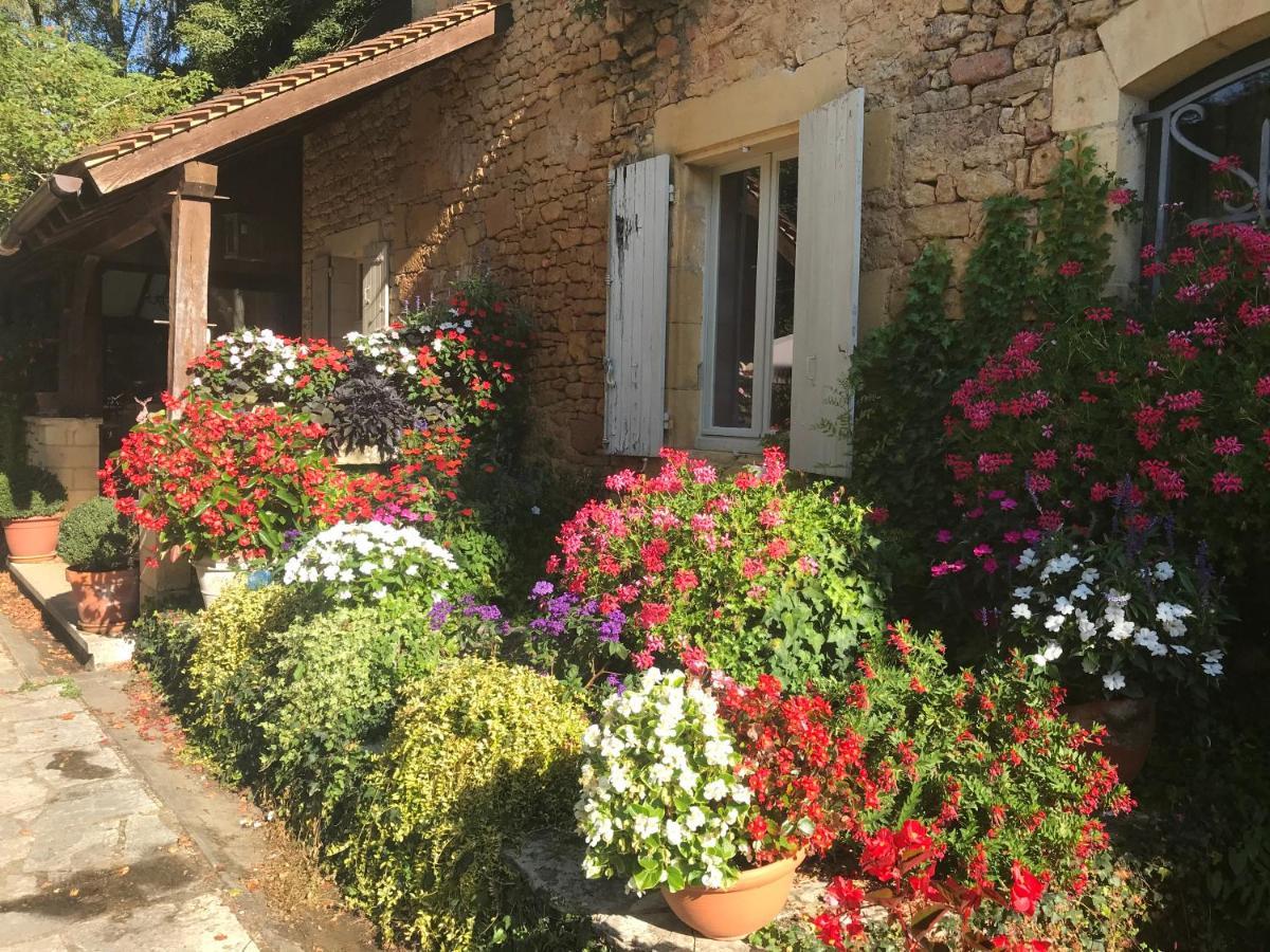 Bed & Breakfast Le Moulin Neuf Saint-Alvere Exterior photo
