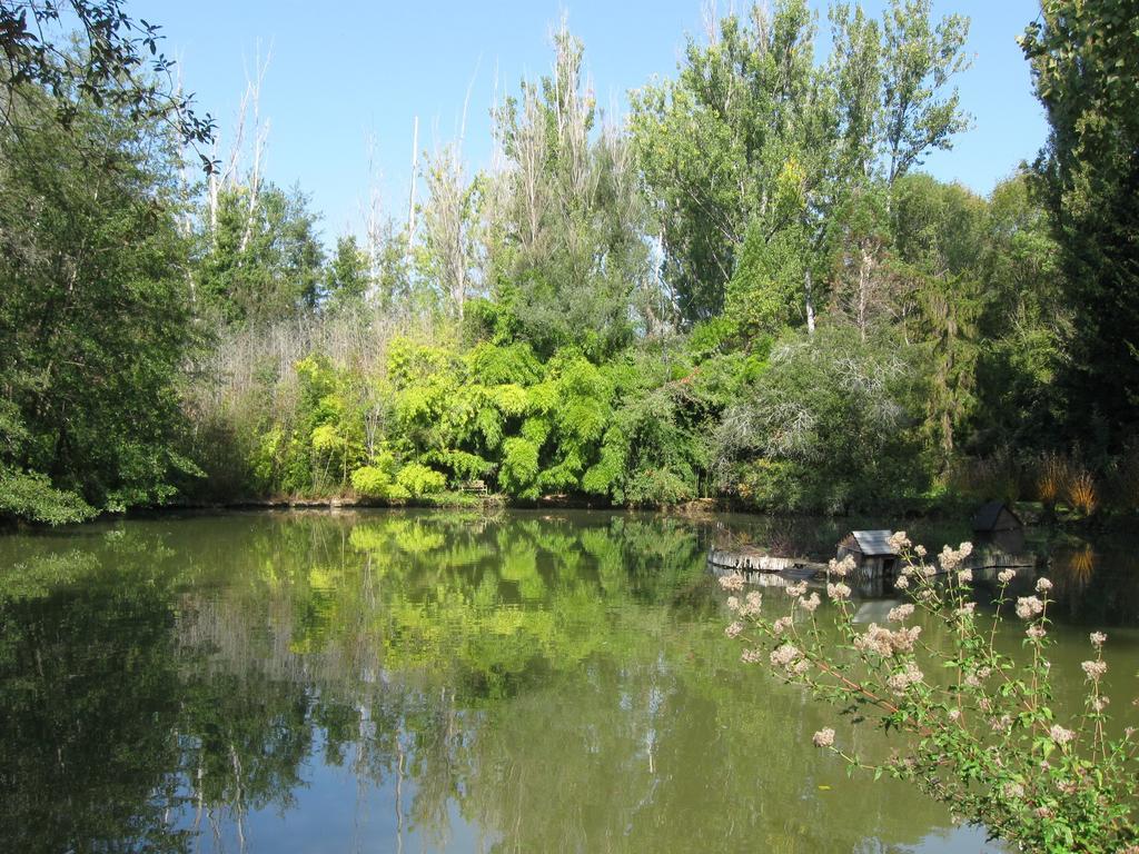Bed & Breakfast Le Moulin Neuf Saint-Alvere Exterior photo